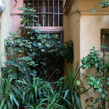 Apartman Sunny